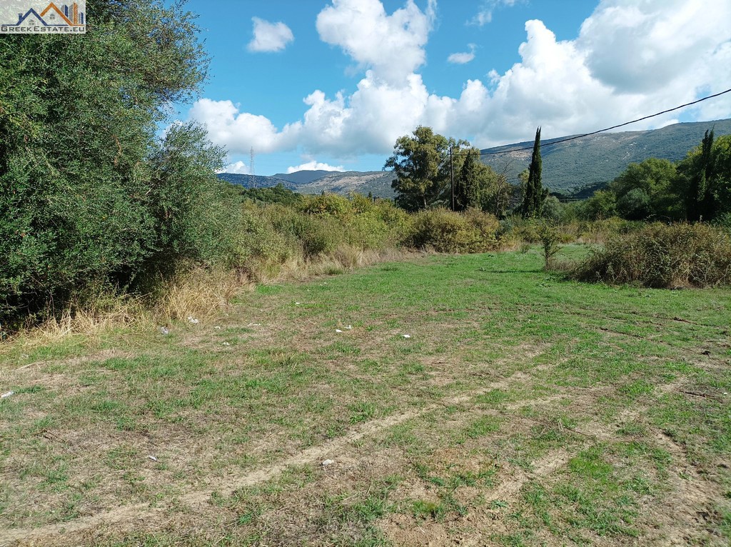 Αγροτεμάχια 23.066 τ.μ. προς πώληση, Πλαταριά
