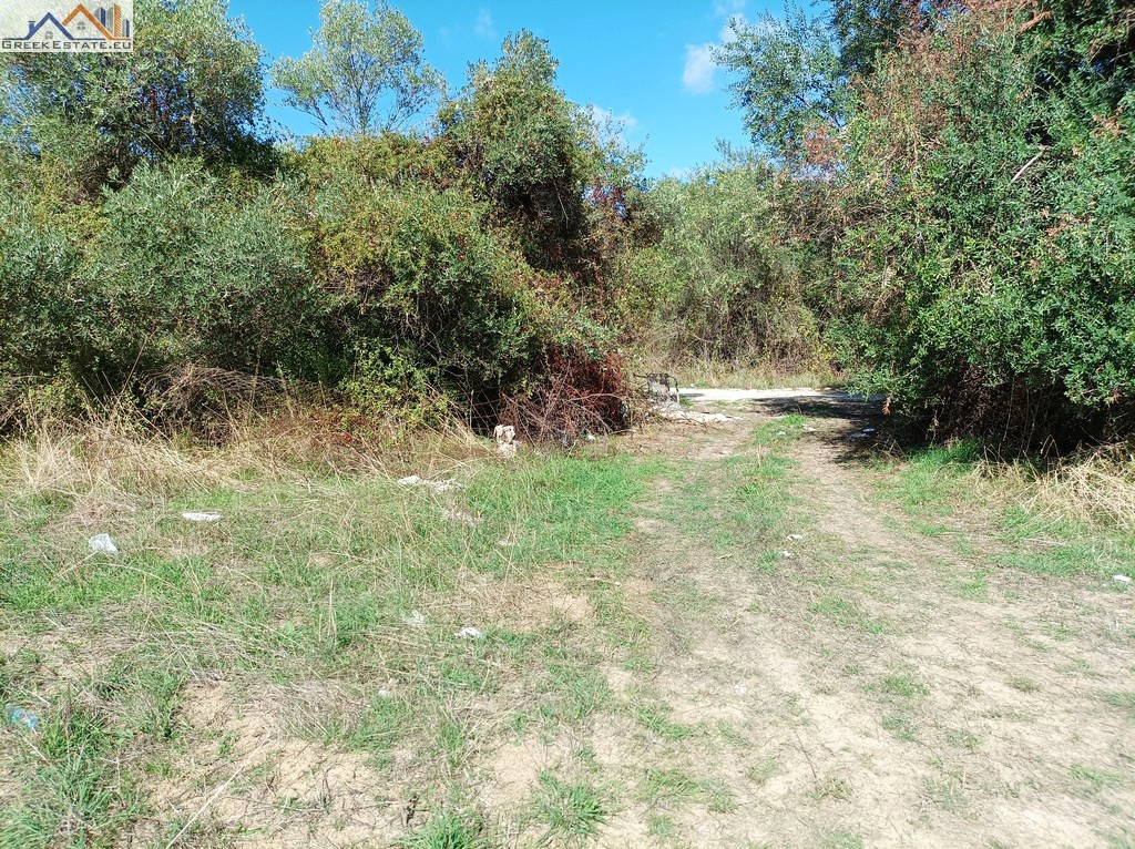 Αγροτεμάχια 23.066 τ.μ. προς πώληση, Πλαταριά