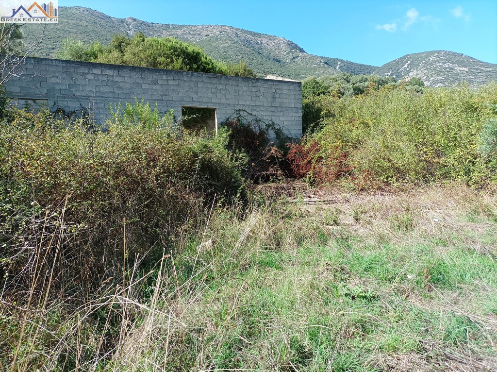Αγροτεμάχια 23.066 τ.μ. προς πώληση, Πλαταριά