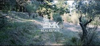 Αγροτεμάχια 13.000 τ.μ. για πώληση, Ν. Σερρών, Σέρρες-thumb-11