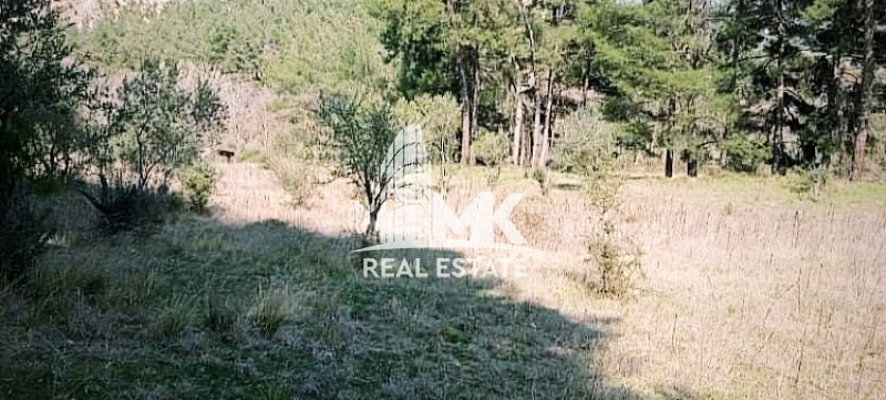 Αγροτεμάχια 13.000 τ.μ. προς πώληση, Άγιος Ιωάννης Σερρών