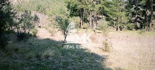 Αγροτεμάχια 13.000 τ.μ. για πώληση, Ν. Σερρών, Σέρρες-thumb-3