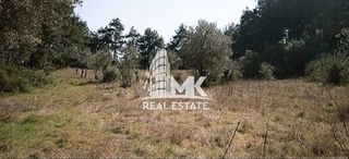 Αγροτεμάχια 13.000 τ.μ. για πώληση, Ν. Σερρών, Σέρρες-thumb-17