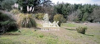 Αγροτεμάχια 13.000 τ.μ. για πώληση, Ν. Σερρών, Σέρρες-thumb-2