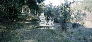 Αγροτεμάχια 13.000 τ.μ. για πώληση, Ν. Σερρών, Σέρρες-thumb-18