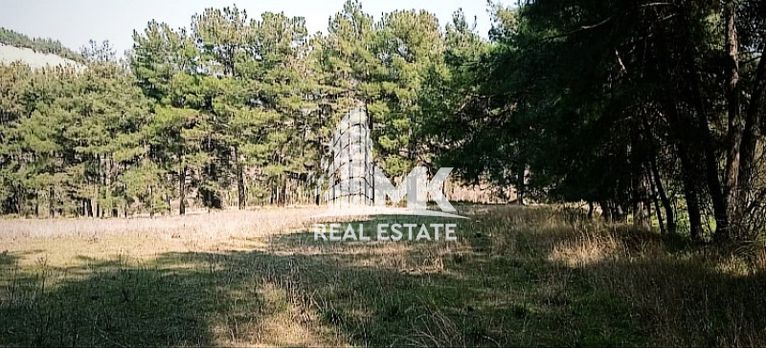Αγροτεμάχια 13.000 τ.μ. για πώληση, Ν. Σερρών, Σέρρες