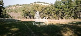 Αγροτεμάχια 13.000 τ.μ. για πώληση, Ν. Σερρών, Σέρρες-thumb-23
