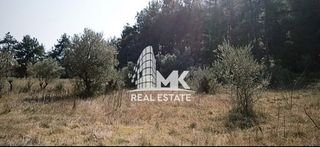 Αγροτεμάχια 13.000 τ.μ. για πώληση, Ν. Σερρών, Σέρρες-thumb-8