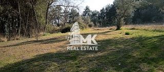 Αγροτεμάχια 13.000 τ.μ. για πώληση, Ν. Σερρών, Σέρρες-thumb-1
