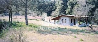 Αγροτεμάχια 13.000 τ.μ. για πώληση, Ν. Σερρών, Σέρρες-thumb-24
