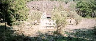 Αγροτεμάχια 13.000 τ.μ. για πώληση, Ν. Σερρών, Σέρρες-thumb-4