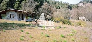 Αγροτεμάχια 13.000 τ.μ. για πώληση, Ν. Σερρών, Σέρρες-thumb-12