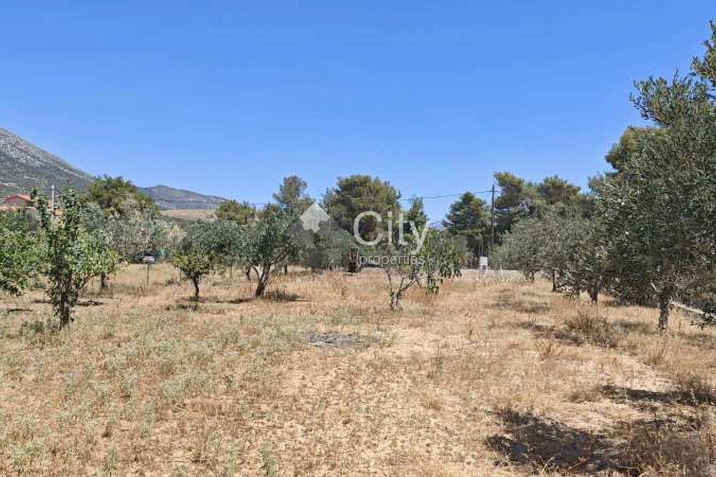 Μονοκατοικία 168 τ.μ. πρός πώληση, Αθήνα - Ανατολικά Προάστια, Κορωπί