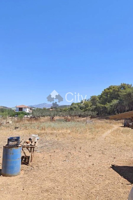 Μονοκατοικία 168 τ.μ. πρός πώληση, Αθήνα - Ανατολικά Προάστια, Κορωπί