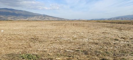 Αγροτεμάχια 32.000 τ.μ. προς πώληση