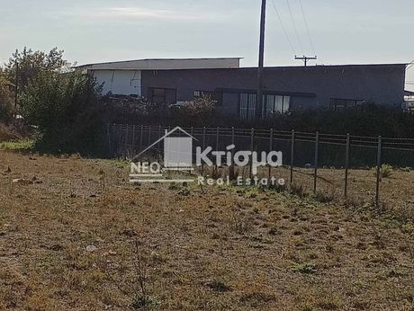 Οικόπεδο 1.148τ.μ. για πώληση-Πύργος » Λασταίικα