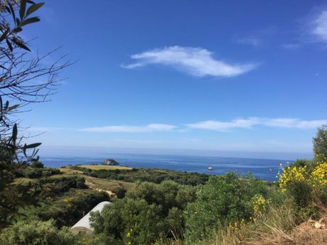 Parcel 4.426sqm for sale-Kefalonia » Leivatho