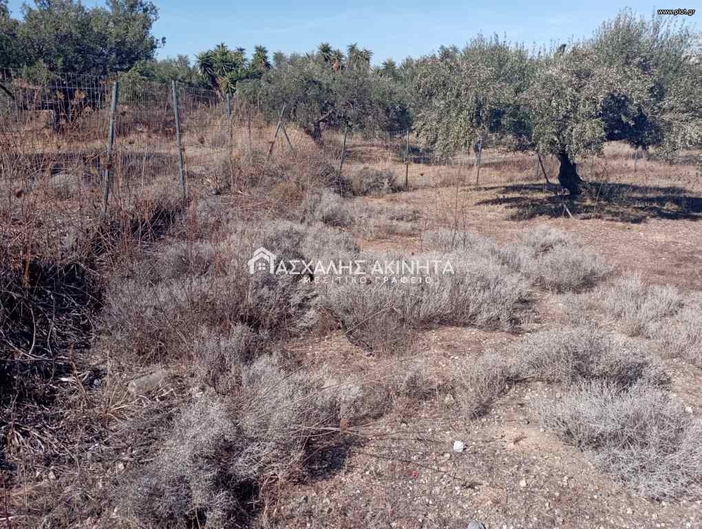 Οικόπεδο 830 τ.μ. πρός πώληση, Ν. Ηρακλείου, Χερσόνησος