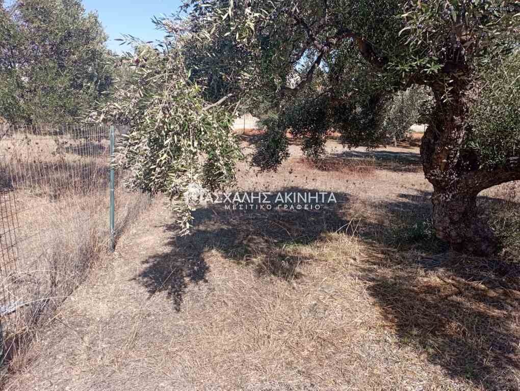 Οικόπεδο 830 τ.μ. πρός πώληση, Ν. Ηρακλείου, Χερσόνησος