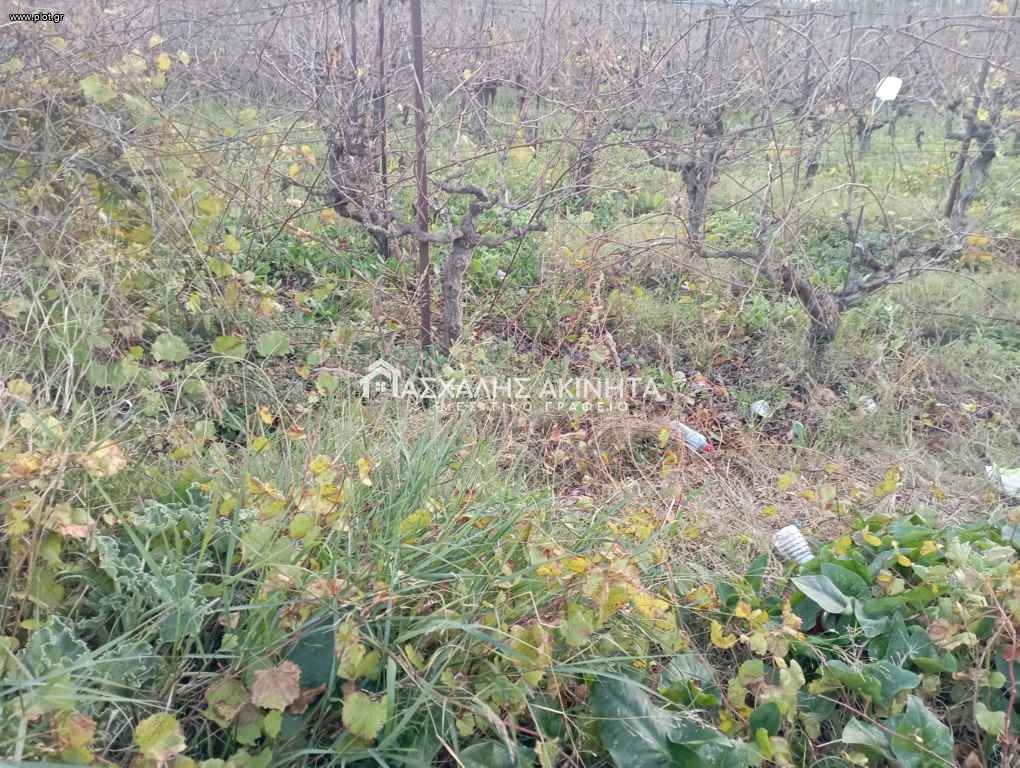 Οικόπεδο 425 τ.μ. πρός πώληση, Ν. Ηρακλείου, Νίκος Καζαντζάκης