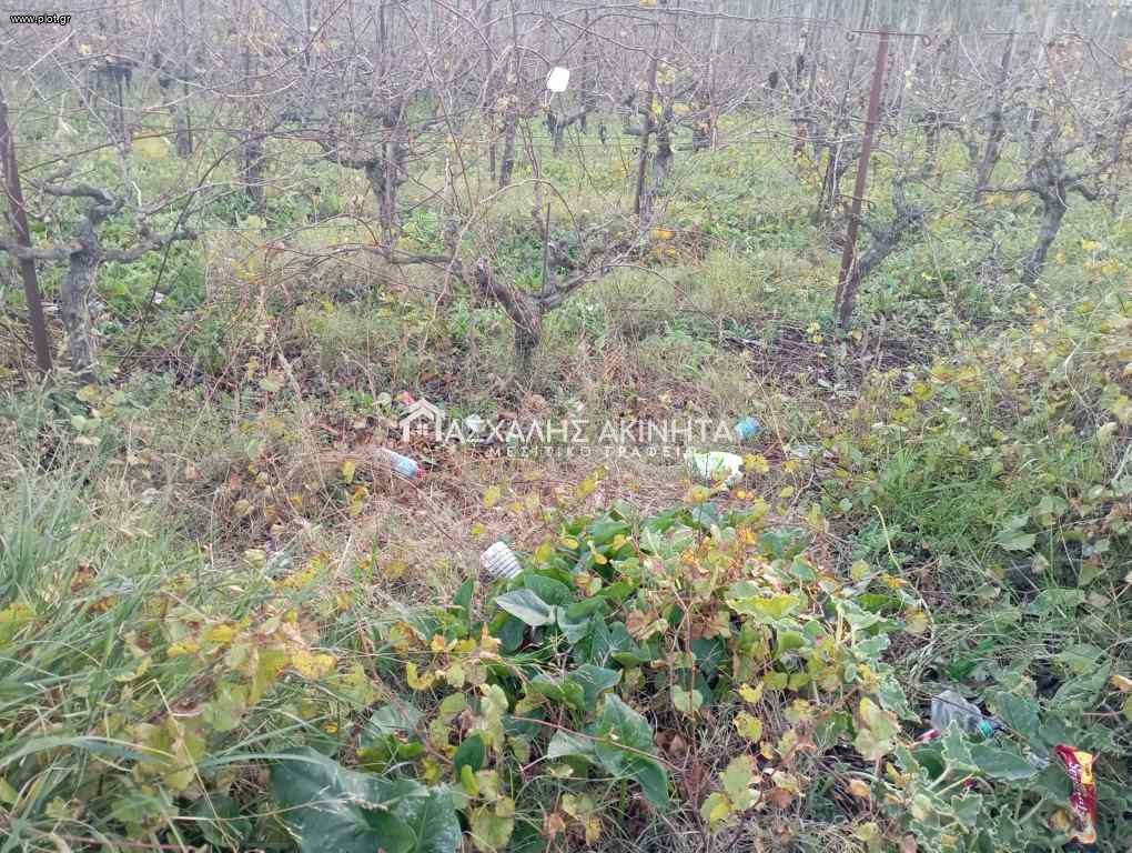 Οικόπεδο 425 τ.μ. πρός πώληση, Ν. Ηρακλείου, Νίκος Καζαντζάκης