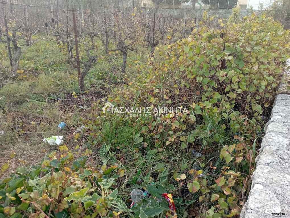 Οικόπεδο 425 τ.μ. πρός πώληση, Ν. Ηρακλείου, Νίκος Καζαντζάκης