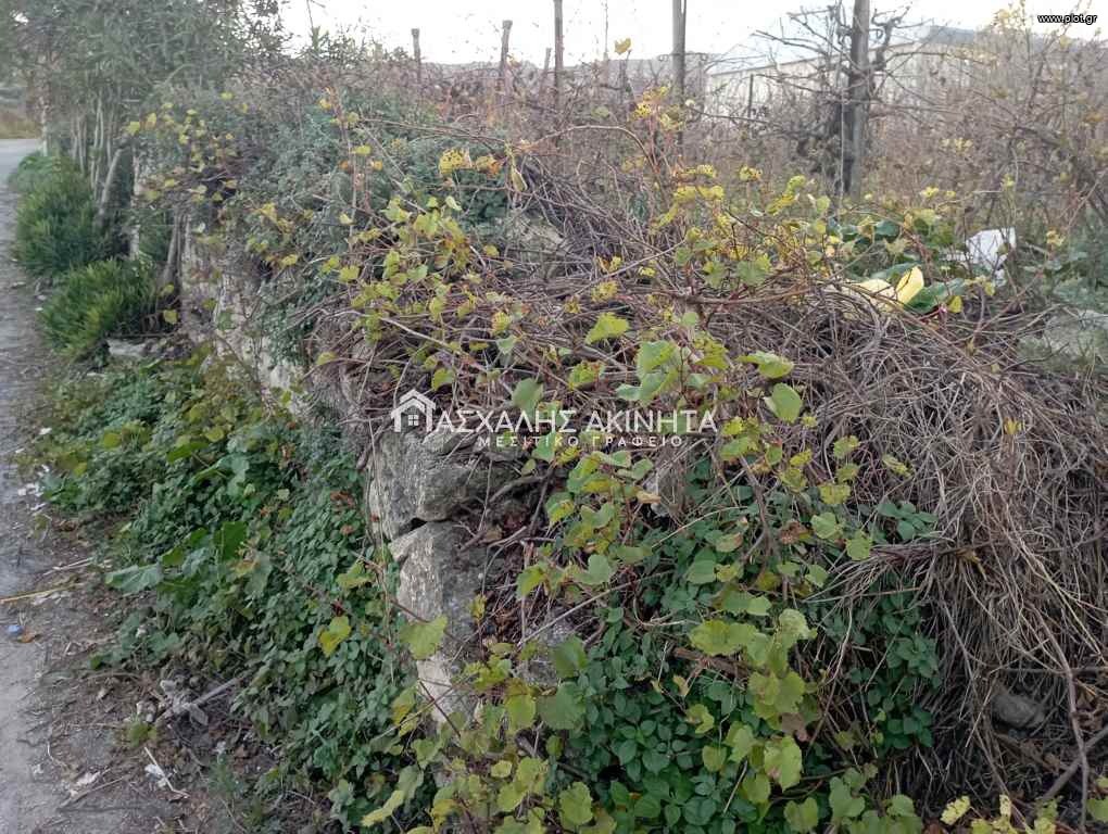 Οικόπεδο 425 τ.μ. πρός πώληση, Ν. Ηρακλείου, Νίκος Καζαντζάκης