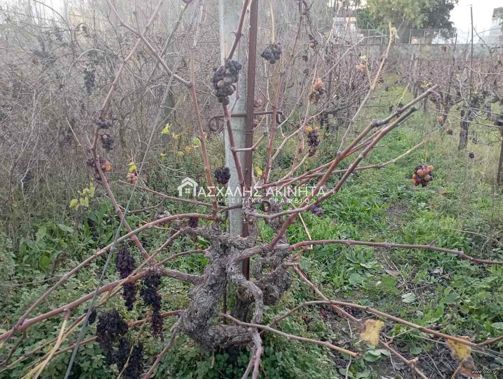 Οικόπεδο 425 τ.μ. πρός πώληση, Ν. Ηρακλείου, Νίκος Καζαντζάκης