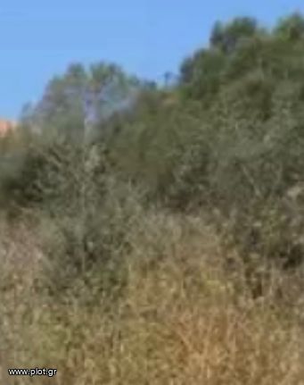 Land plot 422 sqm for sale, Athens - South, Voula