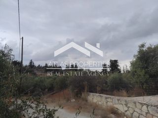 Οικόπεδο 1.680 τ.μ. πρός πώληση, Ν. Χανίων, Βάμος-thumb-5