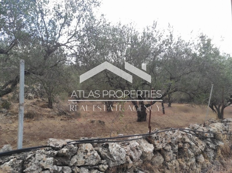 Οικόπεδο 1.680 τ.μ. πρός πώληση, Ν. Χανίων, Βάμος