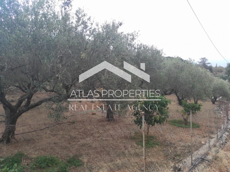 Οικόπεδο 1.680 τ.μ. πρός πώληση, Ν. Χανίων, Βάμος
