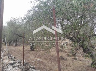 Οικόπεδο 1.680 τ.μ. πρός πώληση, Ν. Χανίων, Βάμος-thumb-2