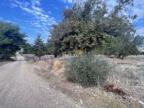 Land plot 1.779sqm for sale-Orchomenos » Pirgos