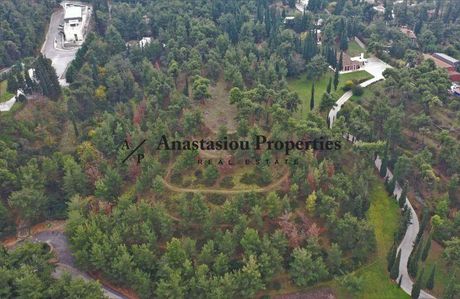 Parcel 30.000sqm for sale-Panorama