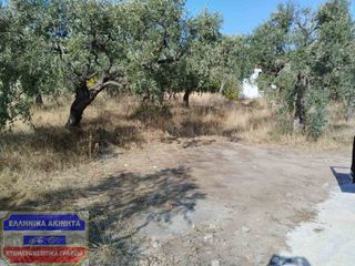 Οικόπεδο 1.350 τ.μ. για πώληση, Ν. Καβάλας, Θάσος-thumb-1