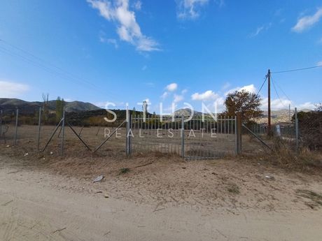 Αγροτεμάχια 4.218 τ.μ. προς πώληση