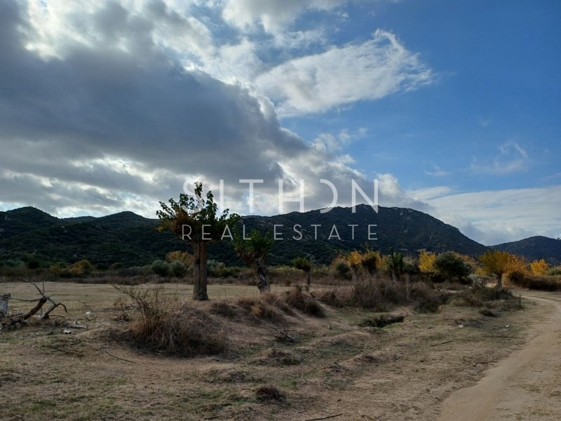 Αγροτεμάχια 4.218 τ.μ. προς πώληση, Συκιά Τορώνης