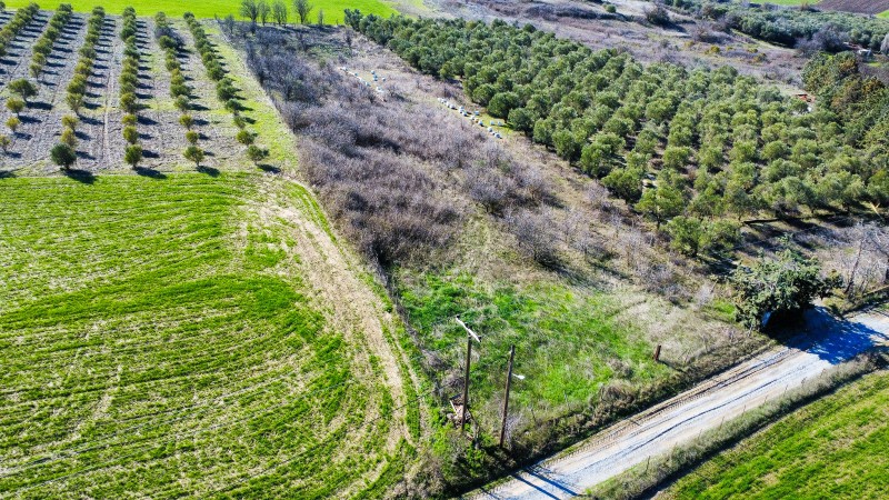 Αγροτεμάχια 4.300 τ.μ. πρός πώληση, Θεσσαλονίκη - Περιφ/Κοί Δήμοι, Θέρμη