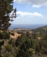 Οικόπεδο 4.300 τ.μ. για πώληση