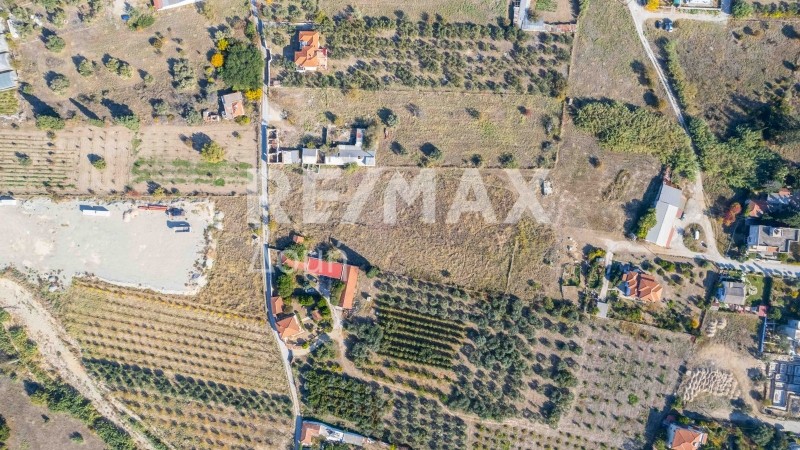 Αγροτεμάχια 6.528 τ.μ. πρός πώληση, Μαγνησία, Βόλος