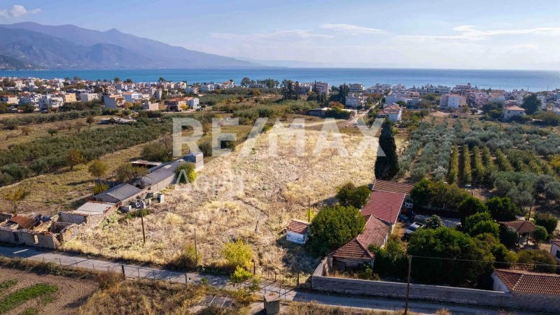 Αγροτεμάχια 6.528 τ.μ. πρός πώληση, Μαγνησία, Βόλος