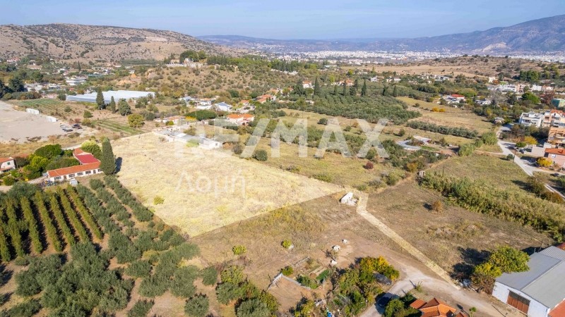 Αγροτεμάχια 6.528 τ.μ. πρός πώληση, Μαγνησία, Βόλος
