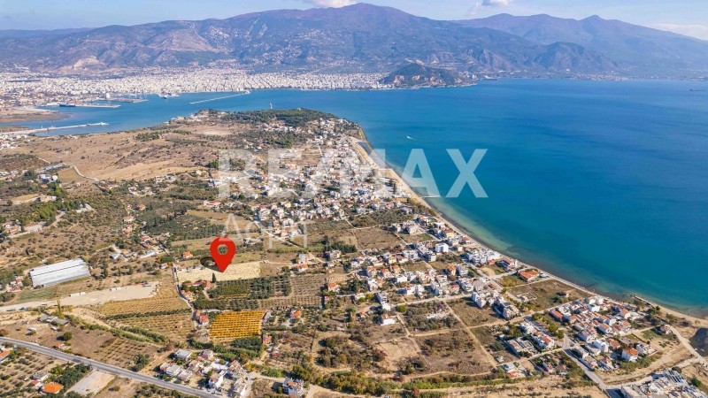 Αγροτεμάχια 6.528 τ.μ. πρός πώληση, Μαγνησία, Βόλος