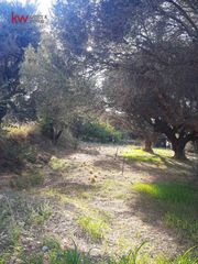 Οικόπεδο 653 τ.μ. για πώληση, Αχαΐα, Ρίο-thumb-6