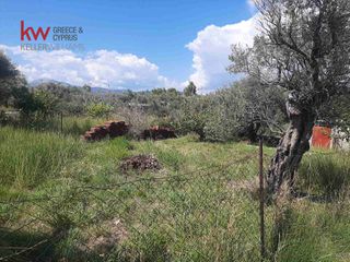 Οικόπεδο 298,72 τ.μ. για πώληση, Αχαΐα, Ρίο-thumb-8