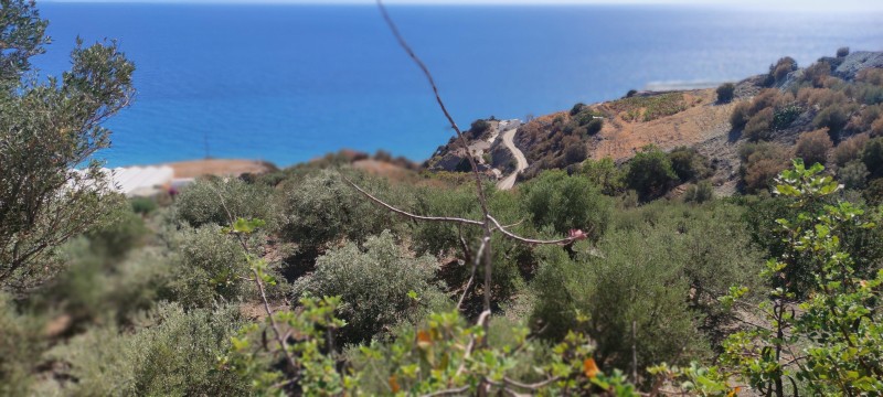 Αγροτεμάχια 10.000 τ.μ. πρός πώληση, Ν. Ηρακλείου, Βιαννός