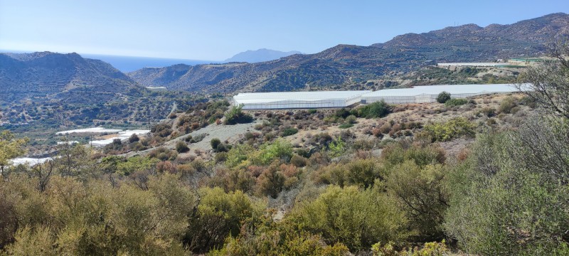 Αγροτεμάχια 10.000 τ.μ. πρός πώληση, Ν. Ηρακλείου, Βιαννός