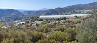 Αγροτεμάχια 10.000 τ.μ. για πώληση