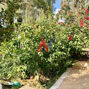 Maisonette 130sqm for sale-Rafina » Kalitexnoupoli